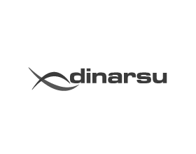 Dinarsu – Logo